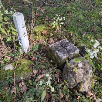 三等三角点「三峰」