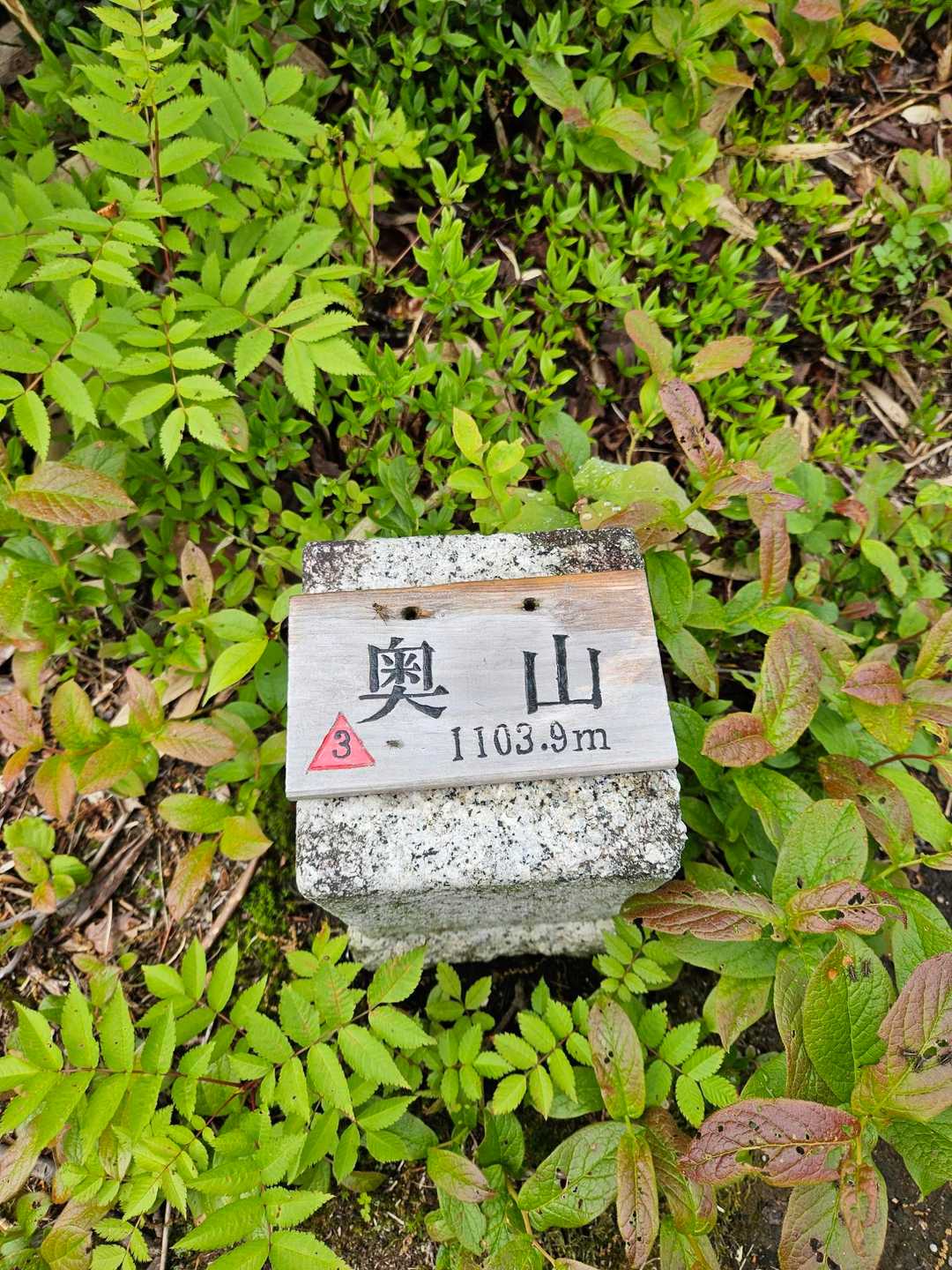 奥山登頂　次に向かうよ😊