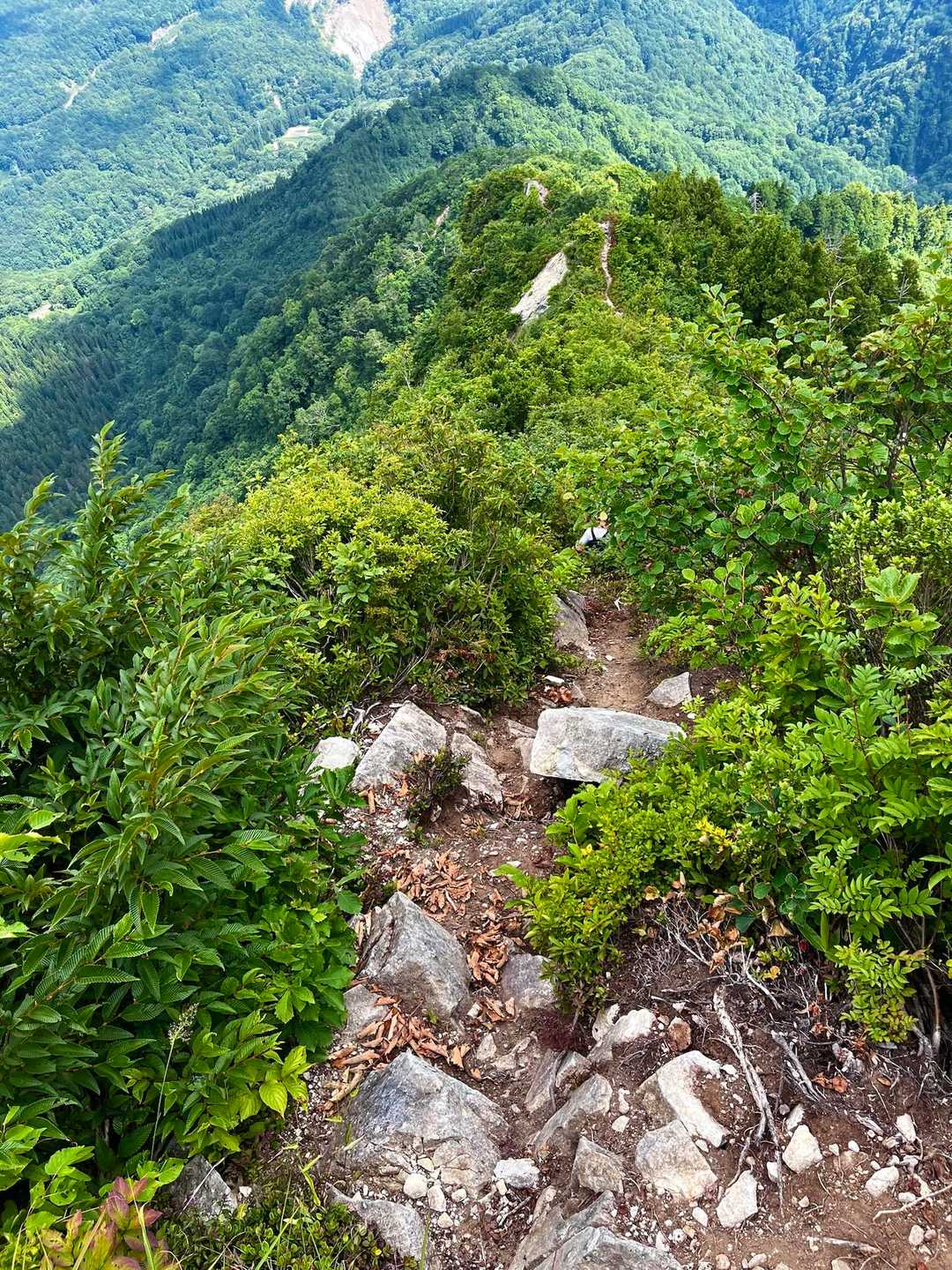 ムジナ平登山口-白嵓ノ頭-鳥甲山 往復コースの写真