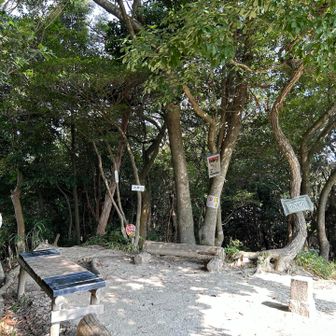 片縄山山頂
