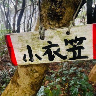 【10座目】小衣笠🙌