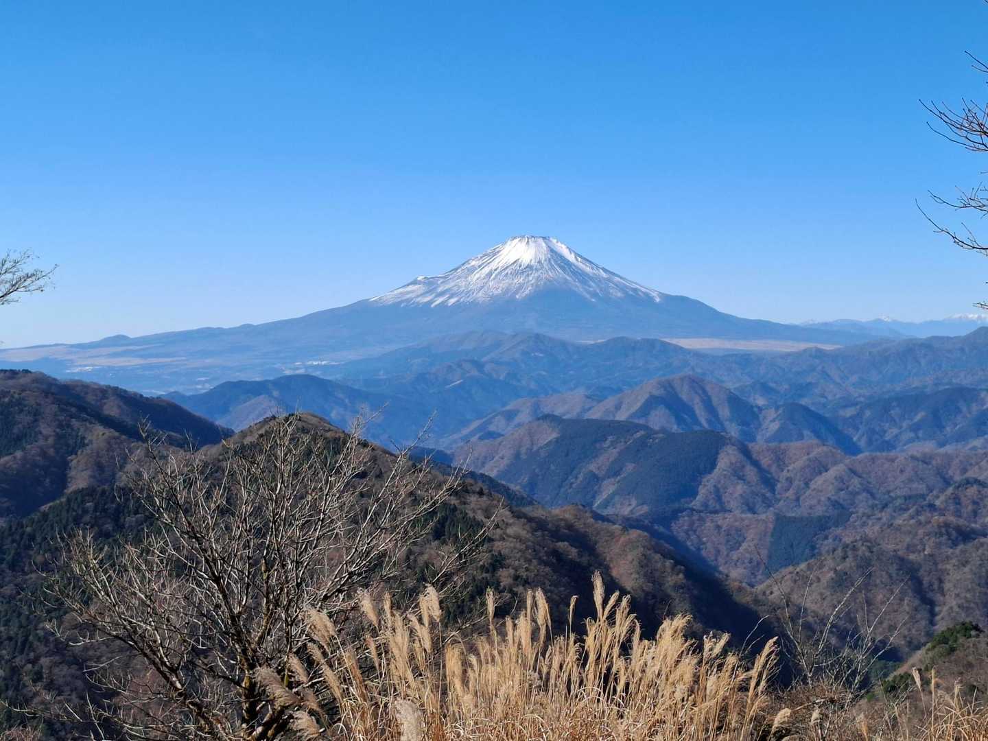 これを見ながら鍋焼きうどん、贅沢です