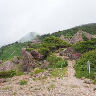 この先が日本海に続く栂海新道。
いつか歩いてみたいけどなかなか勇気がない😅