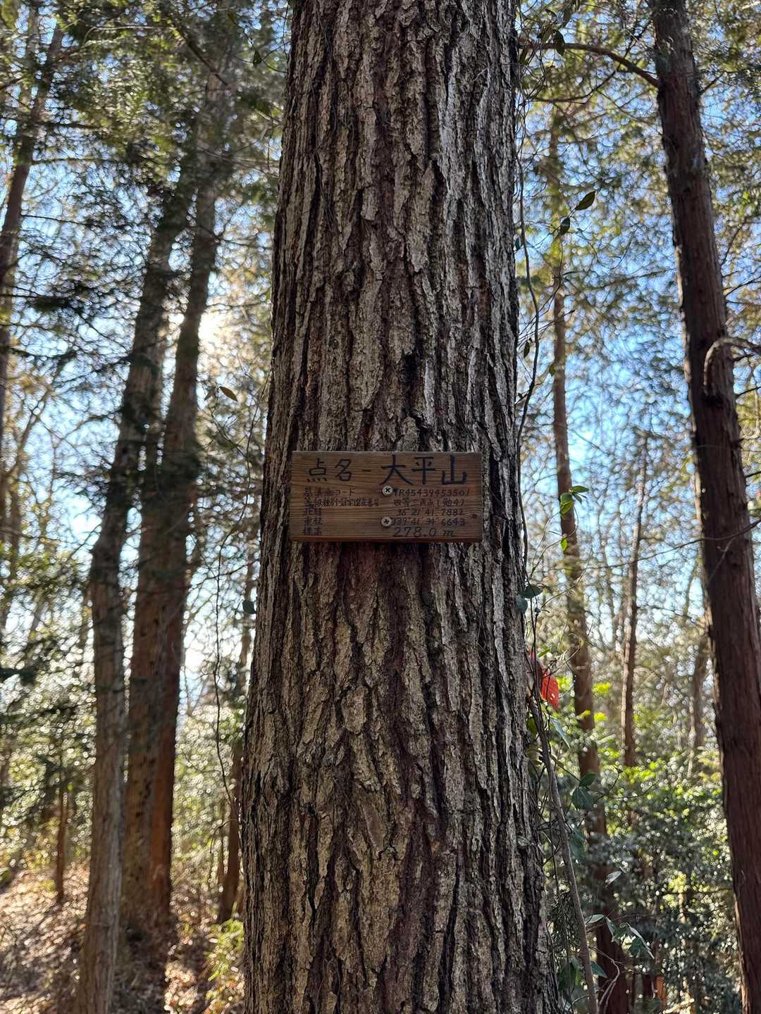 ぐみの木峠 往復コースの写真