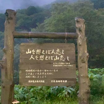 これずっと気になってた😍