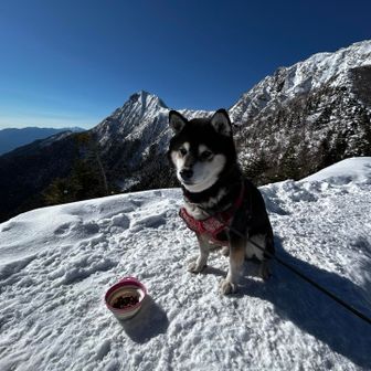 おやつタイム。
登る途中、何度もおやつをせがみました。
ドッグフードを一粒あげると50mくらいダッシュします💨
でも、下りは飲まず食わずで駆け降りるのです。不思議🤔