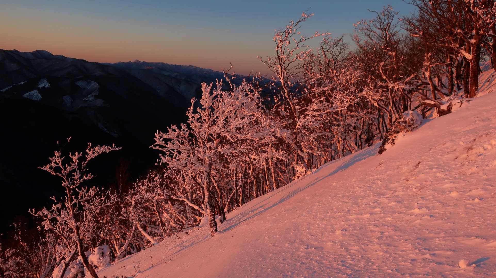 山頂の東側の斜面はそこそこ残っていました
