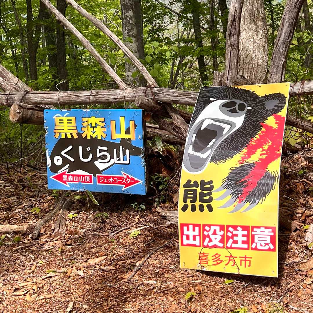 急登降りた所の分岐。頭と尻尾のくびれ部分🐳

えｯ？ 今の道ジェットコースターっていうらしいよ🎢🤣
帰りは、コースター登らずに分岐から下(沢沿い)におりました😮‍💨