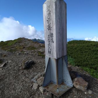 滞在時間数秒で退散