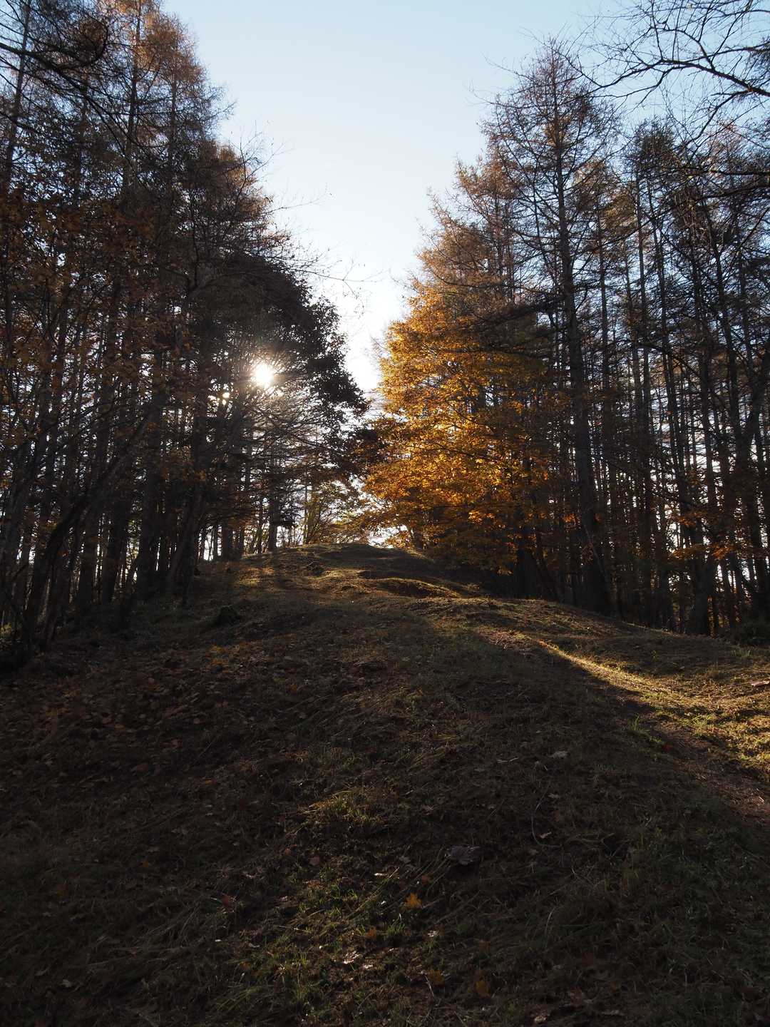 焼山峠-小楢山-小楢峠-大沢ノ頭-妙見山-妙見山-鼓川バス 縦走コースの写真