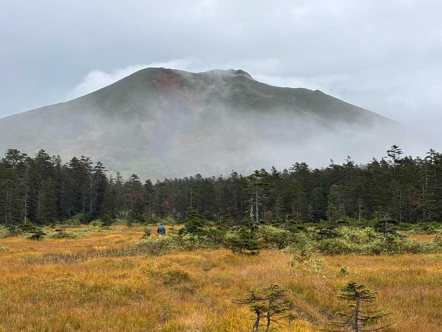 短い時間だが山の姿が見えて良かった

湿原を過ぎると急登が続く
足元の崩れやすいザレ場でうまく歩けず消耗してしまった