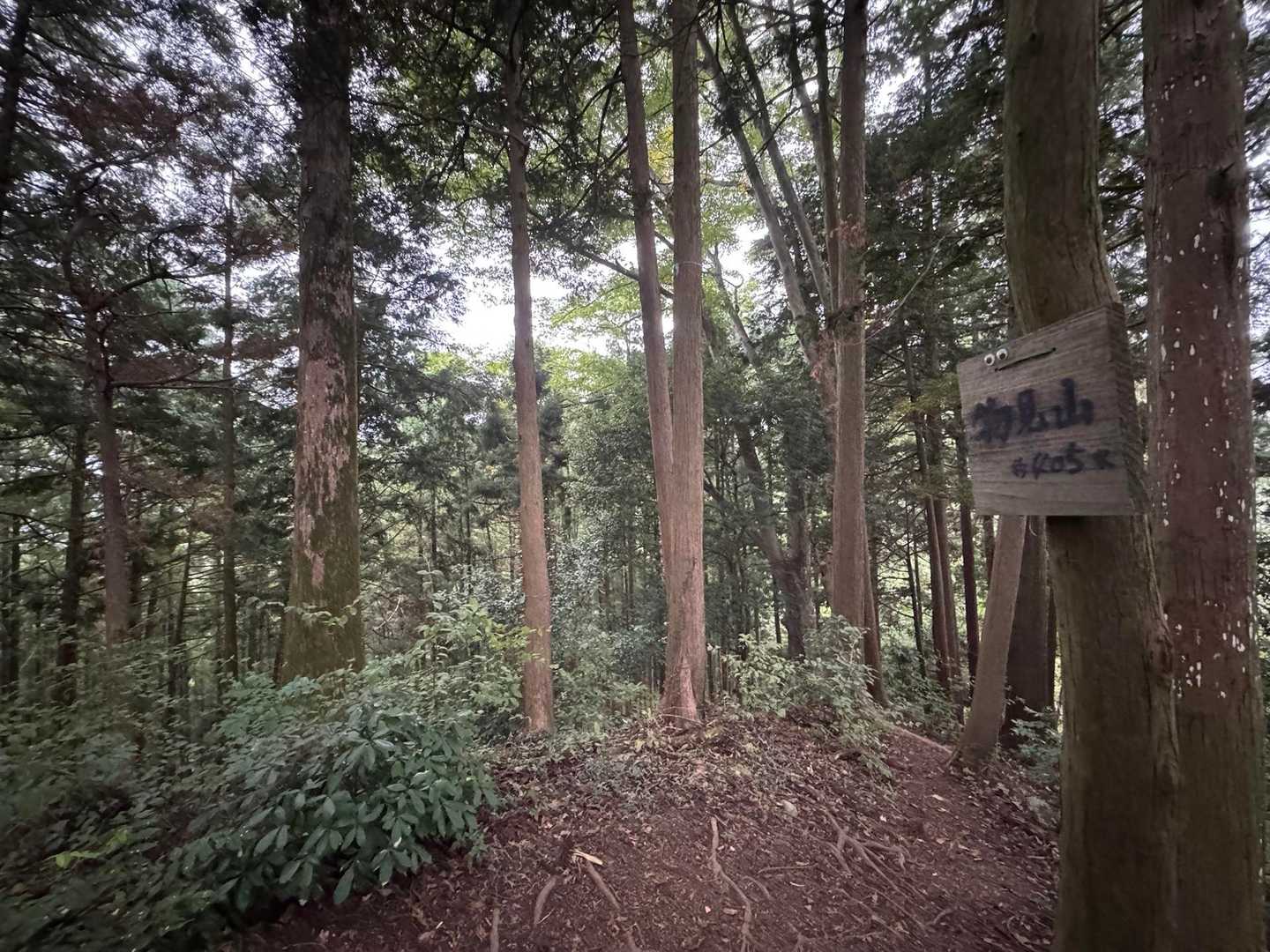 物見山。