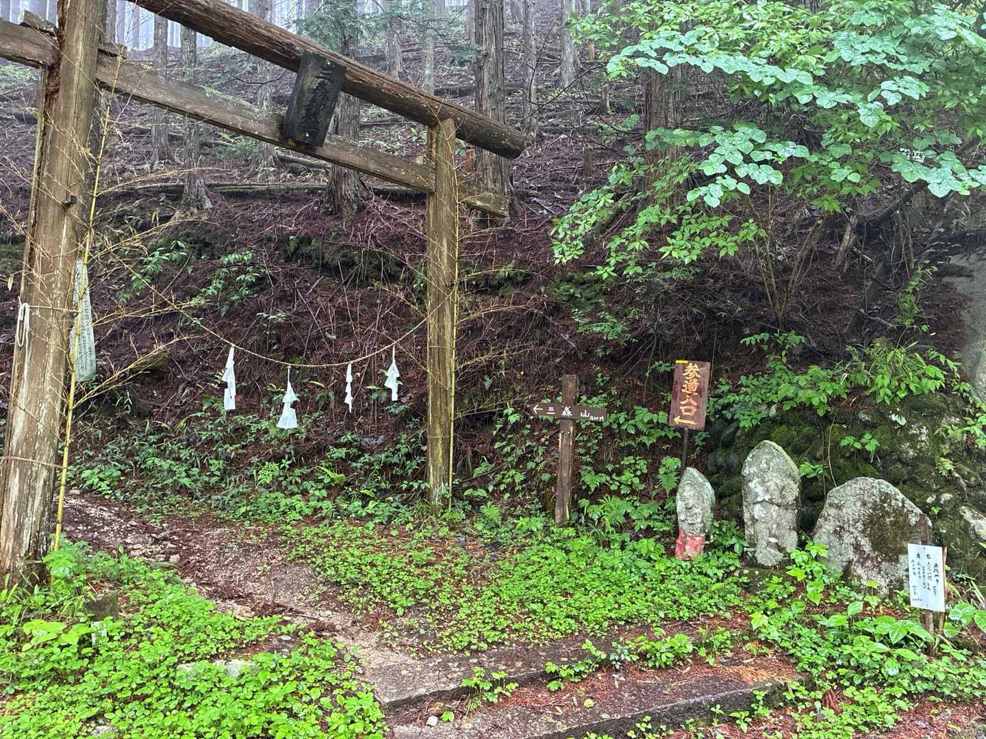 三森神社の参詣道から登りました