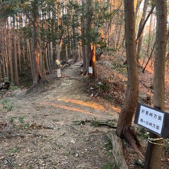 ヤマップ赤線ルートに合流