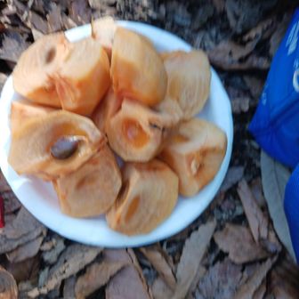 柿もいただいて