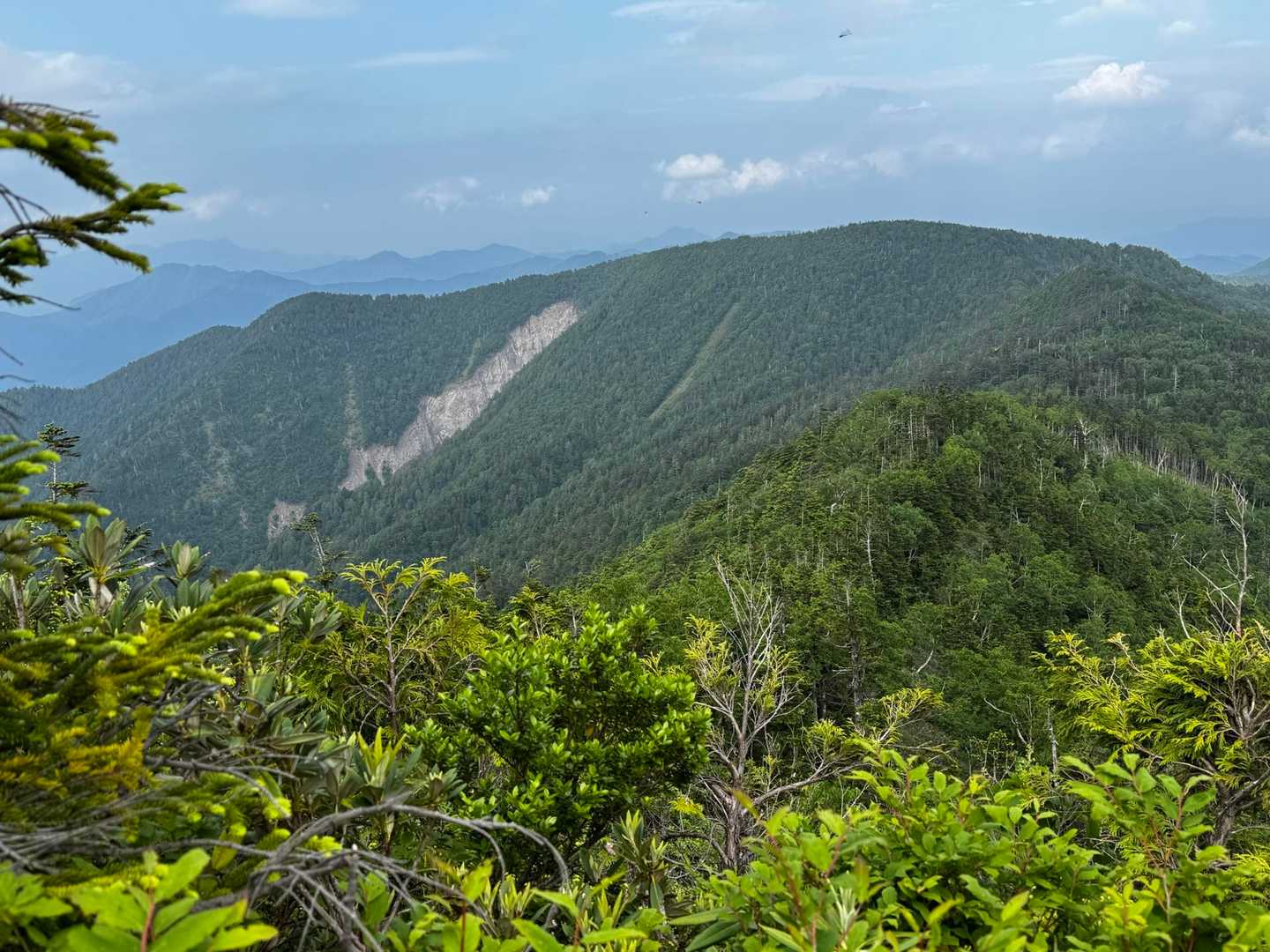 歩いて来た田代山
崩れている所は雨で落ちたとか