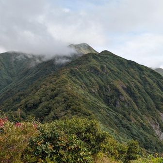 茂倉岳を見返す⛰️。あそこに居たんだなぁ〜🫠