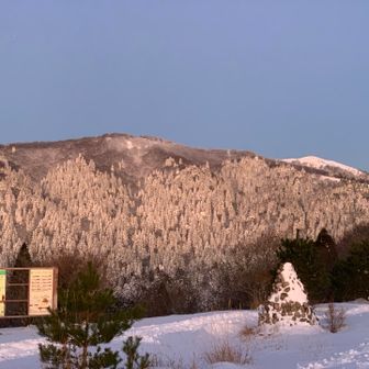 日出を待つコノヤマ岳。右奥に雪の武奈ヶ岳。