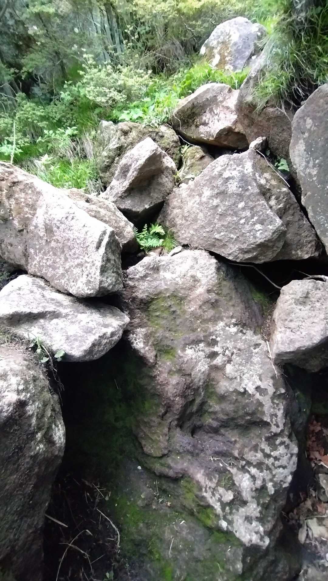 私の背丈をだいぶ超える岩岩🪨どうにかよじ登り😅