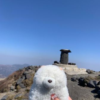 モフ犬は山を頂く。