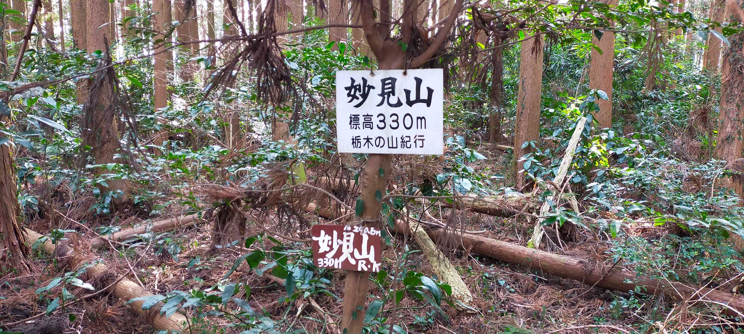 初登頂③ 妙見山山頂に到着♪
山名板があってめっちゃ嬉しかったです！