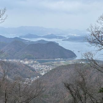 遠くに因島大橋