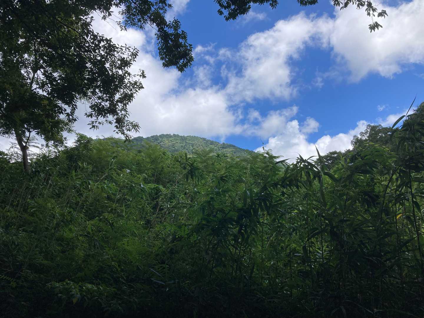 無事の下山後振り返って