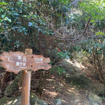 この看板の奥（赤テープ）が三剣山へ向かうルートですが