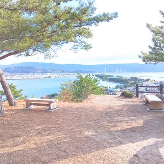 奠供山（てんぐやま）山頂。同じく山名板は確認出来ず😭