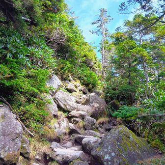 岩々の登山道