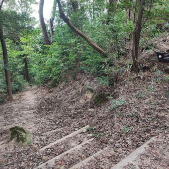 鍋蓋山の山頂から少し歩くと、七三峠へと降りる分岐が出てきます。