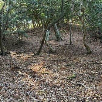 鼻高山はこちら⬆️