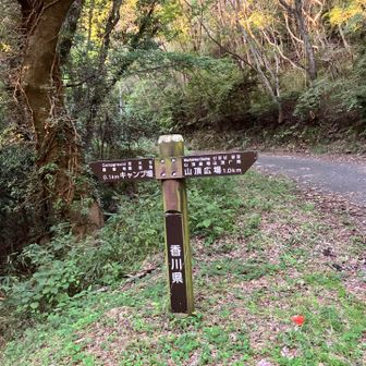 キャンプ場近道してもよかったけど、あまり距離も変わらないので、安心安全の車道で