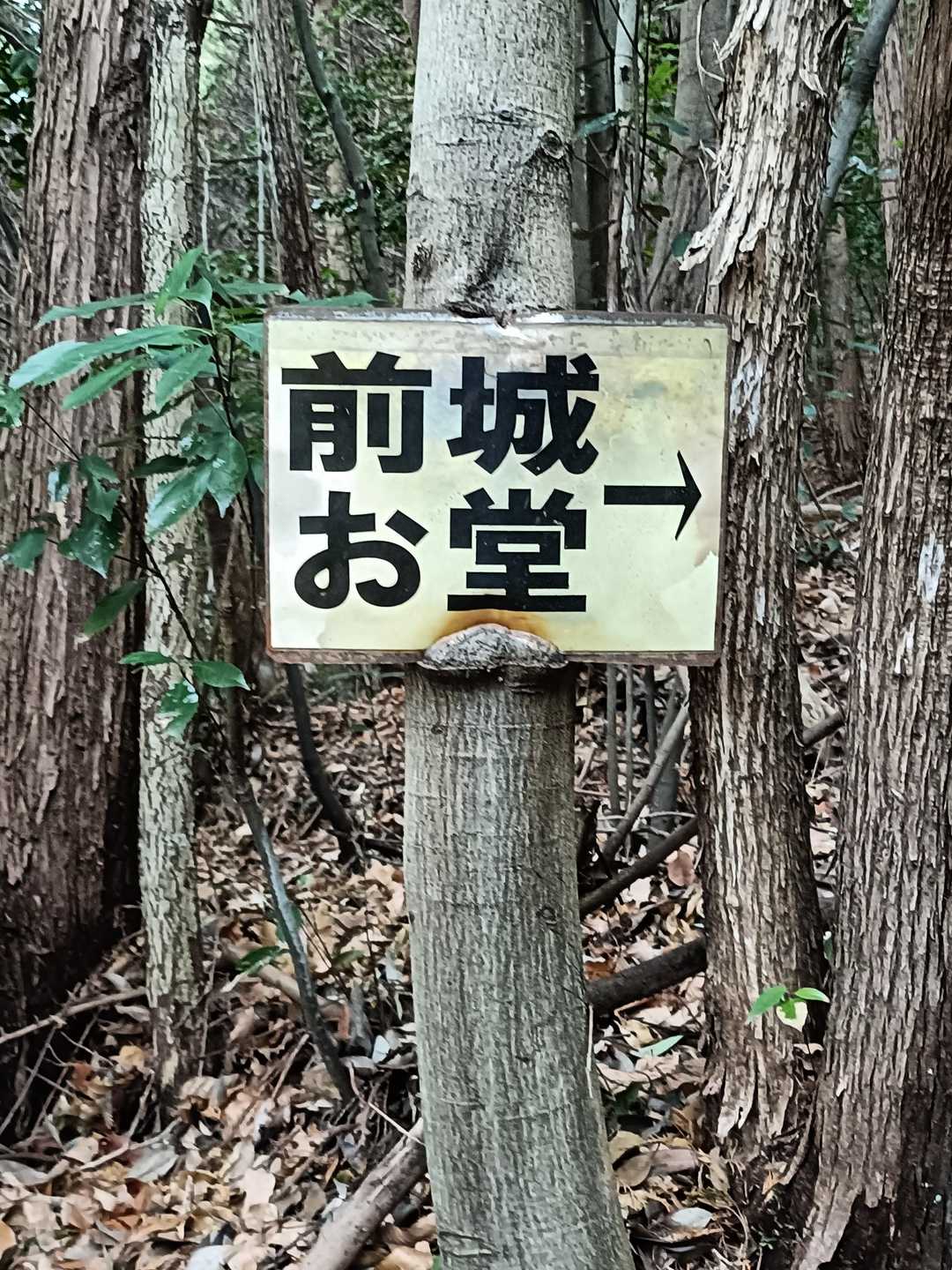 前城➜
お堂➜

