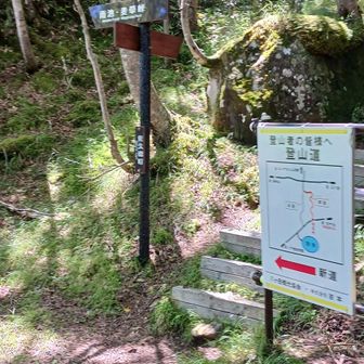 新道下りきったところ