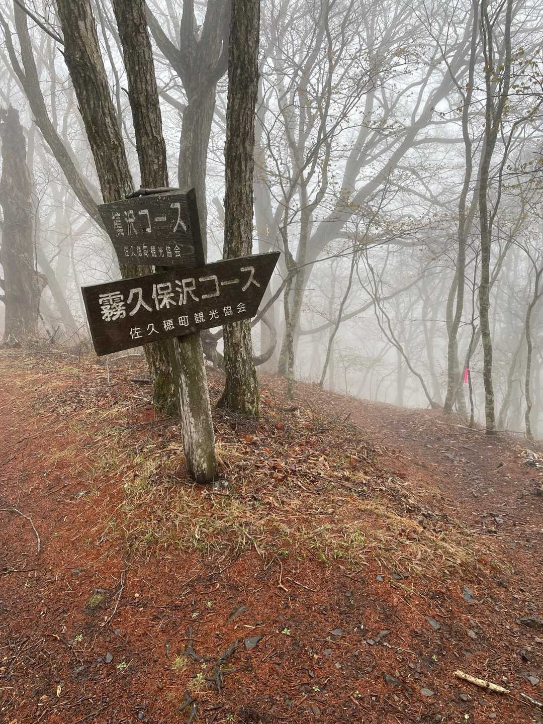 分岐まで来たー