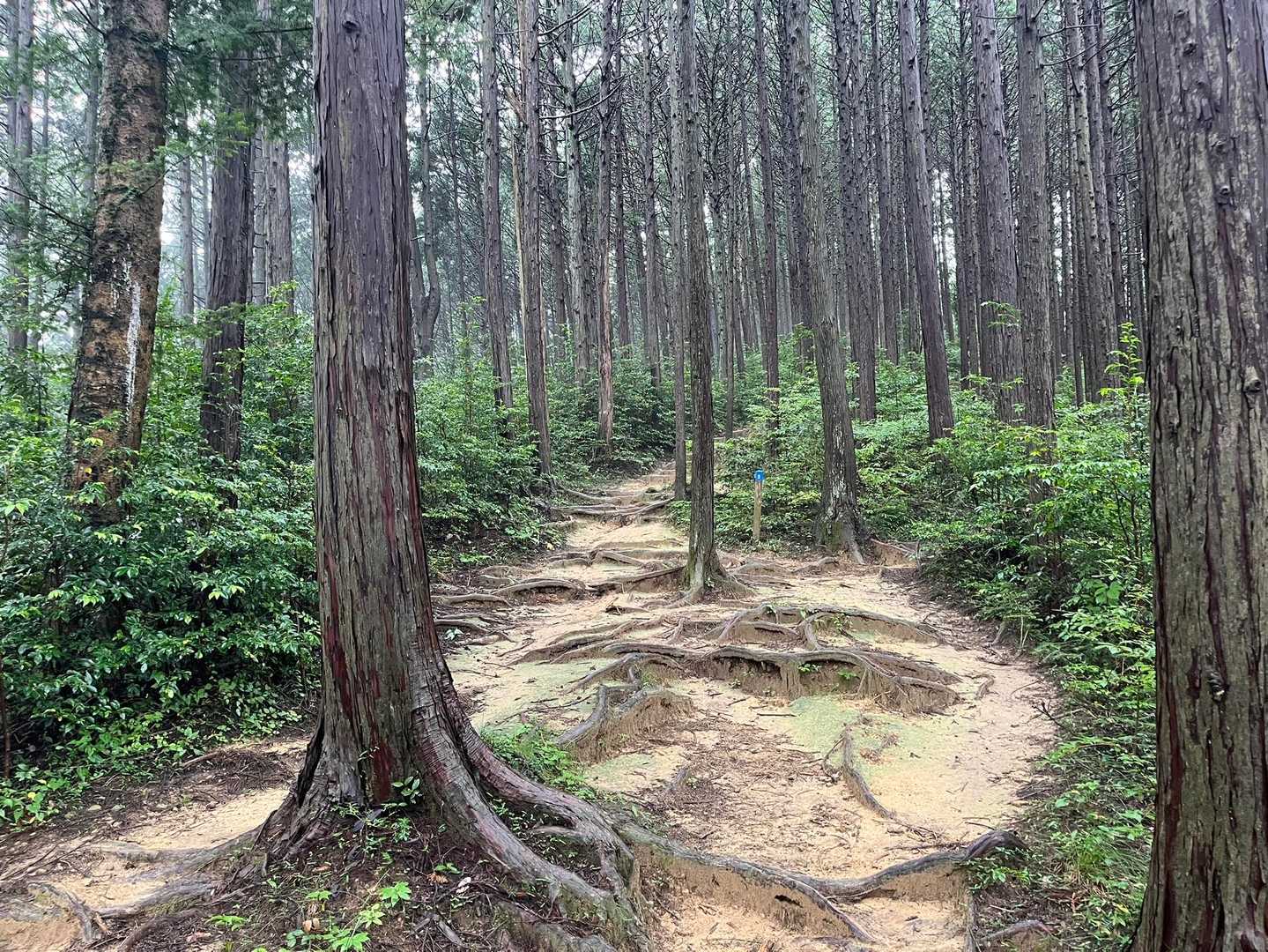 奥多摩らしい風景。