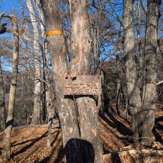 ここも下に巻き道あるので通過は一度でいいかな。