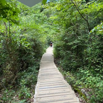稲荷山コースから下山　長ーい下り階段