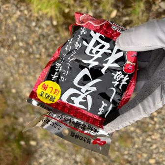 歩きながら食べていました