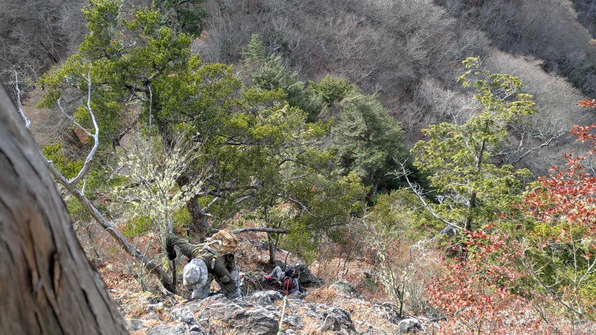 倉門山-天丸山-帳付山 周回コースの写真