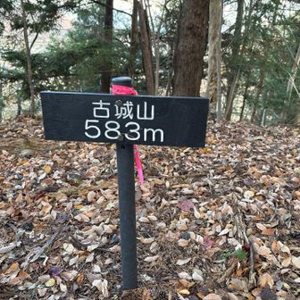 古城山に到着
ここを通過して都留アルプスに向かって行くようですが……今日はここまで