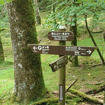 須山上り一合5勺
スマホ充電 YAMAPで位置は確認してから移動