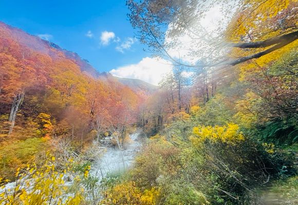 まさ🚗X-TRAIL | YAMAP / ヤマップ