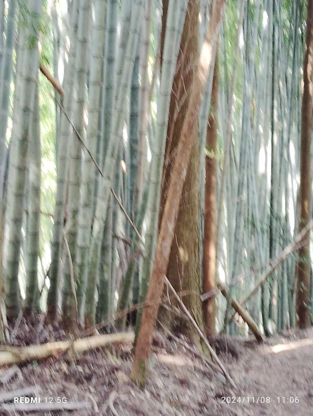 寒さに負けてすぐ下山しました、