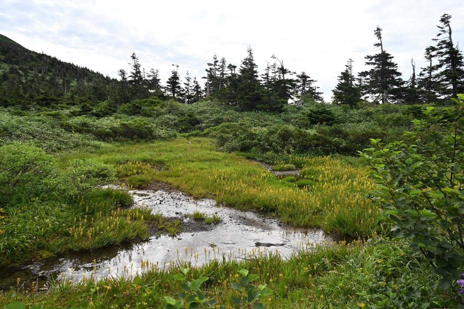 八甲田大岳登山口（酸ヶ湯）-八甲田山 往復コースの写真
