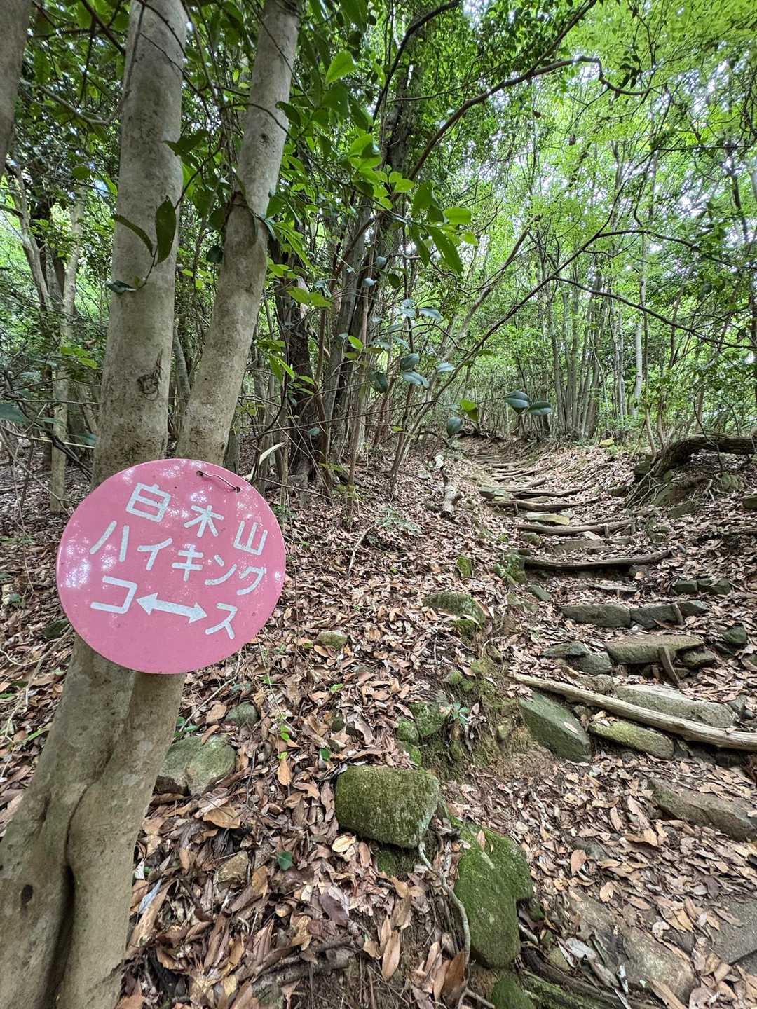 白木山登山口-白木山 往復コースの写真