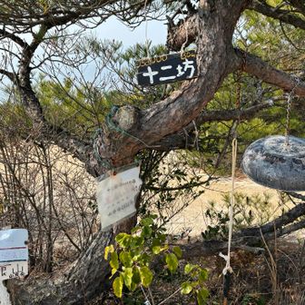 「好運の鐘」🔔
※「好運」の命名には歴史ありであえてこの名前

そして、みんなの春に好運が訪れるように
鳴らして来ました✨

動画↓
https://youtube.com/shorts/0vOArVIVSXA?si=axadpwrwcH3d08yo