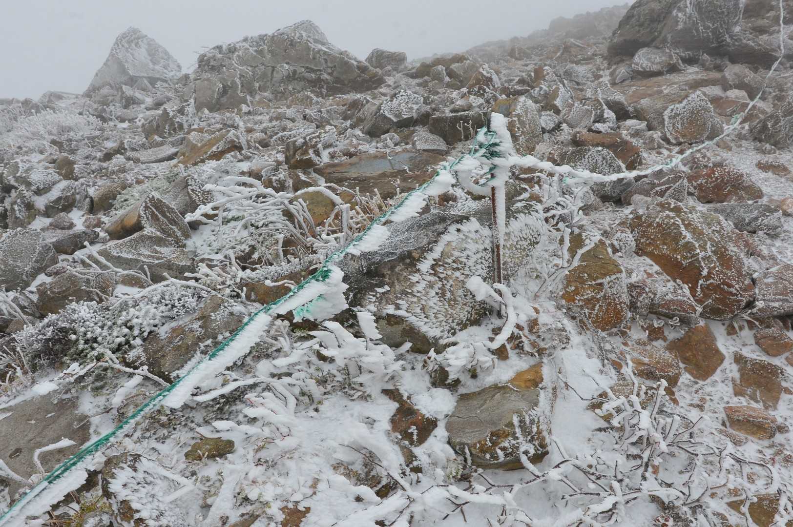 海老の尻尾ができています