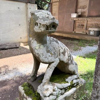 狛犬✖️、狛狼🐺○
